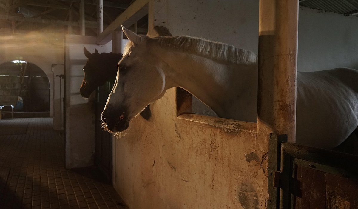 How to Insulate a Barn Conversion Without Losing Character